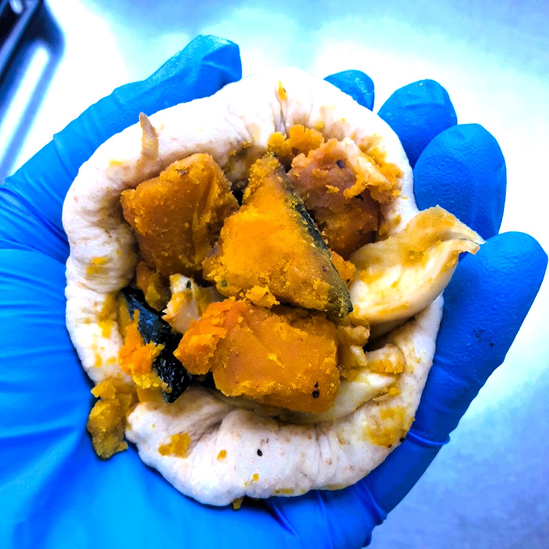 作り方の参考画像